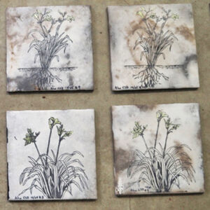 Daylily Tiles 6X6