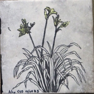 Aho Hem Tile #5
