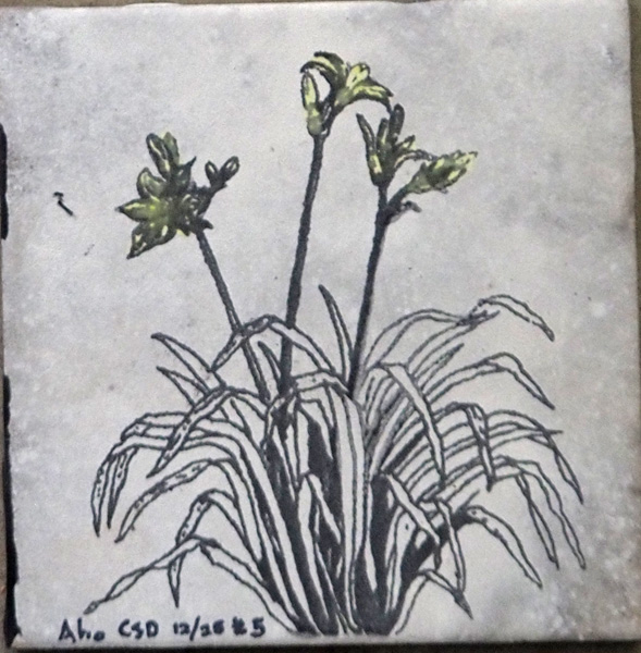 Aho Hem Tile #5