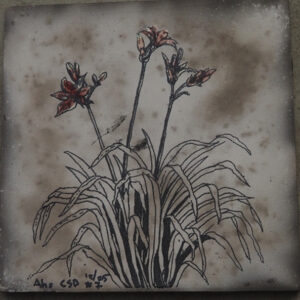 Aho Hem Tile #7